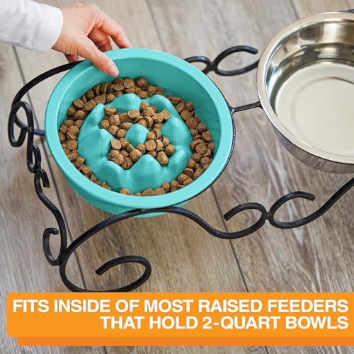 The Niner Slow Feed Bowl in Aquamarine – Nine Peaks Slow Eating, Fits Neater Feeder Large, Holds 2 Cups