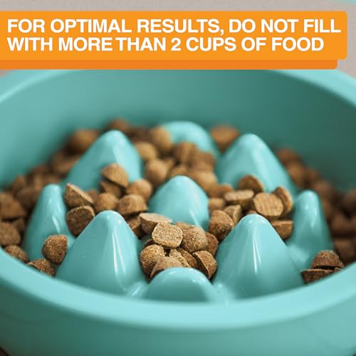 The Niner Slow Feed Bowl in Aquamarine – Nine Peaks Slow Eating, Fits Neater Feeder Large, Holds 2 Cups