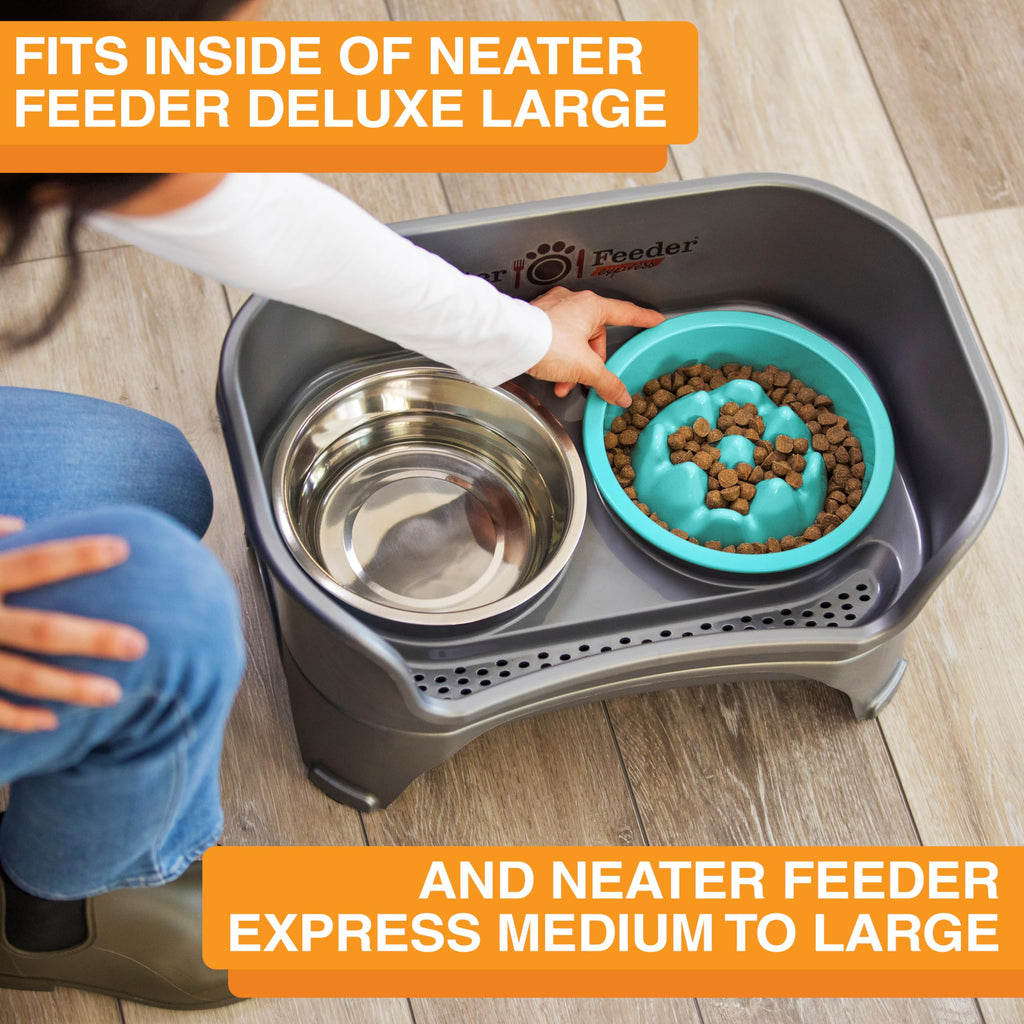 The Niner Slow Feed Bowl in Aquamarine – Nine Peaks Slow Eating, Fits Neater Feeder Large, Holds 2 Cups