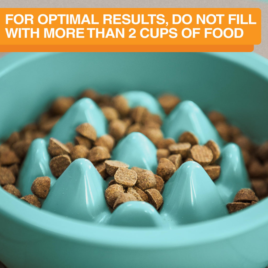 The Niner Slow Feed Bowl in Aquamarine – Nine Peaks Slow Eating, Fits Neater Feeder Large, Holds 2 Cups
