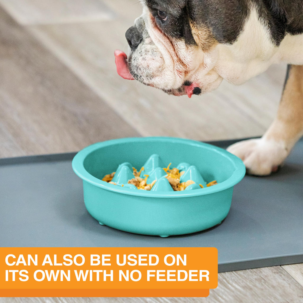 The Niner Slow Feed Bowl in Aquamarine – Nine Peaks Slow Eating, Fits Neater Feeder Large, Holds 2 Cups