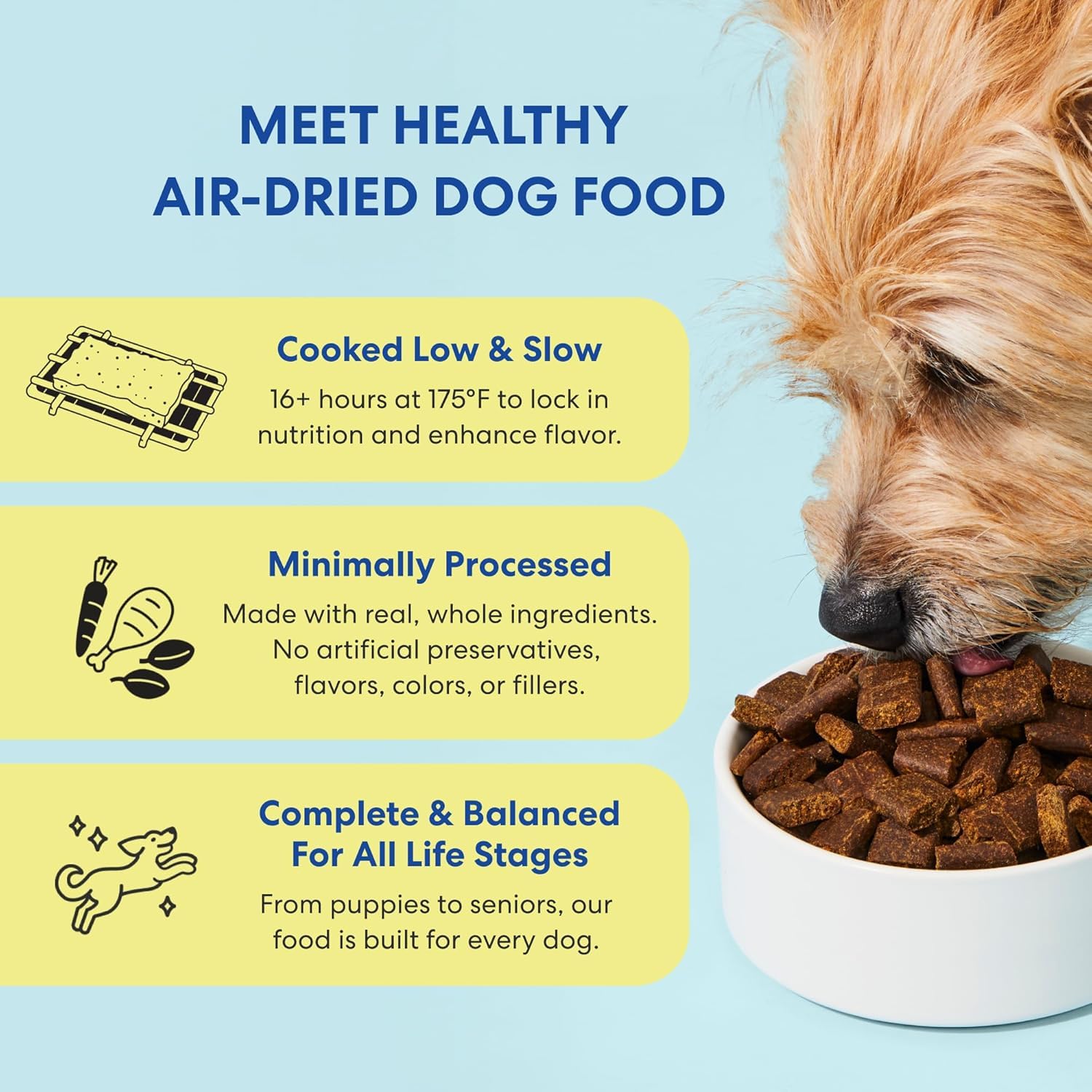 The Pets Table Chicken & Sweet Potato Air-Dried Dog Food, 1 lb Bag