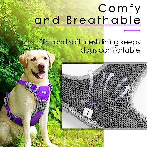 ThinkPet No Pull Dog Harness - Breathable Sport Vest with Handle for Medium Large Dogs
