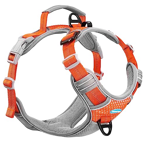 vimg::15