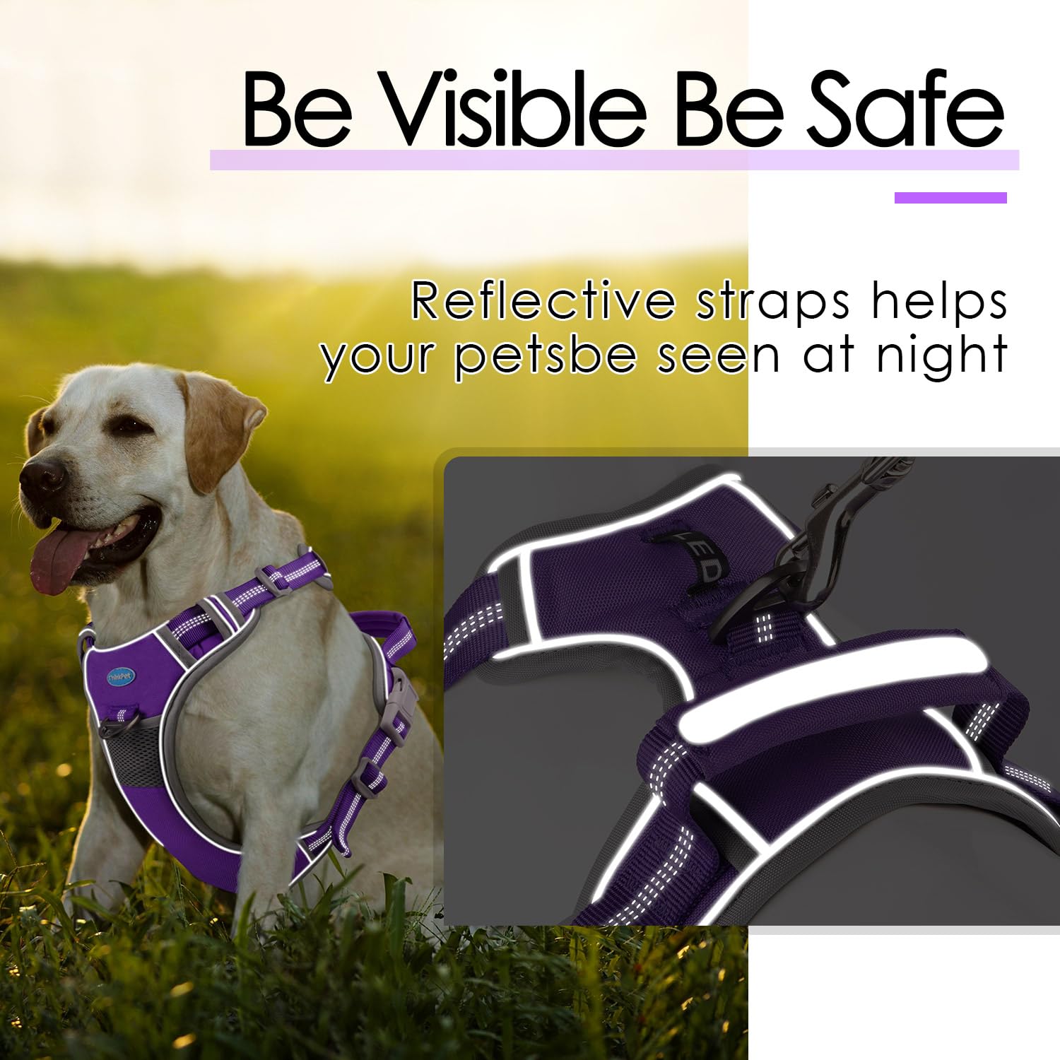 ThinkPet No Pull Dog Harness - Breathable Sport Vest with Handle for Medium Large Dogs