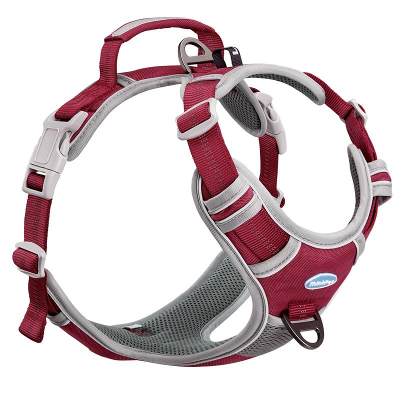 vimg::6