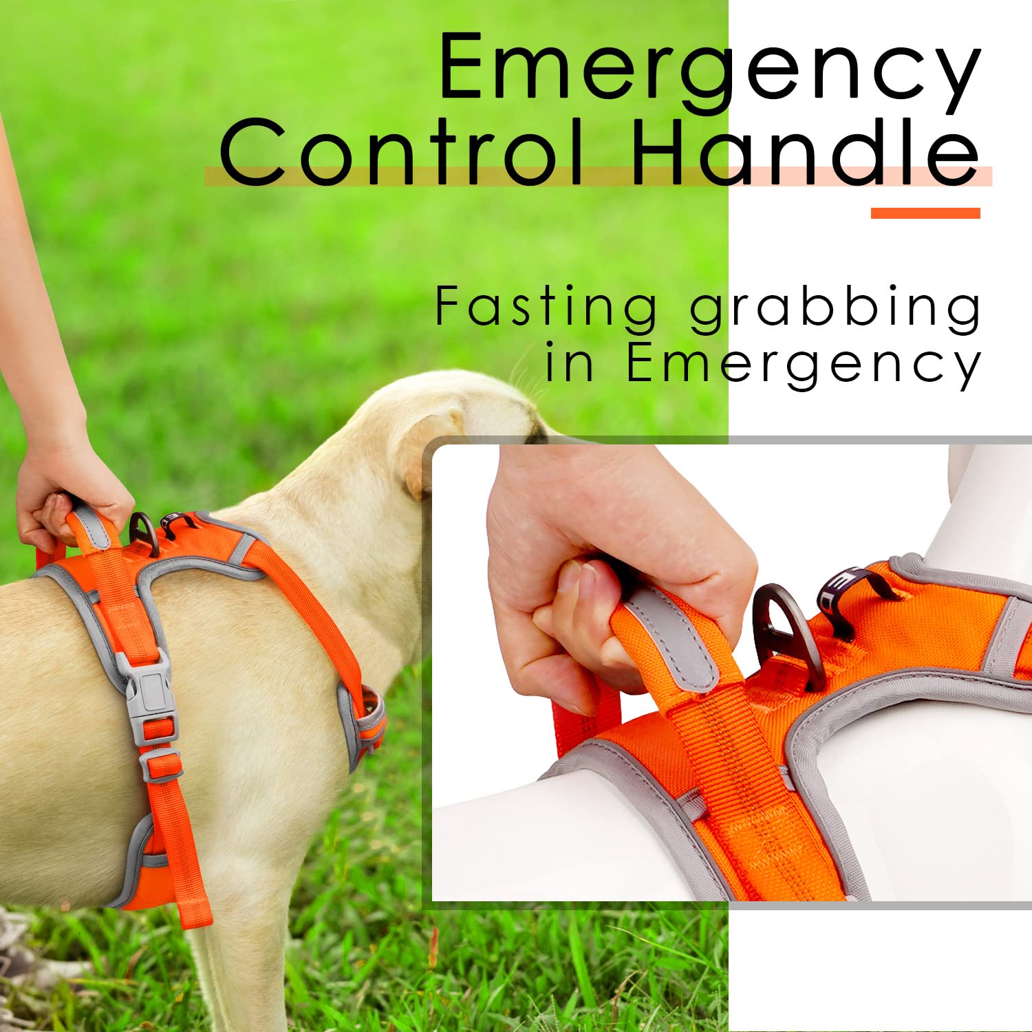 ThinkPet No Pull Harness for Medium Large Dogs - Breathable, Reflective Vest with Handle