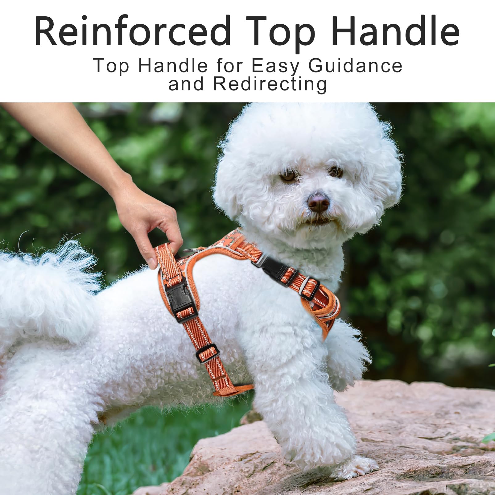 Timos Small Dog Harness No Pull - Flower Orange Reflective Vest with 3 Snap Buckles & Control Handle