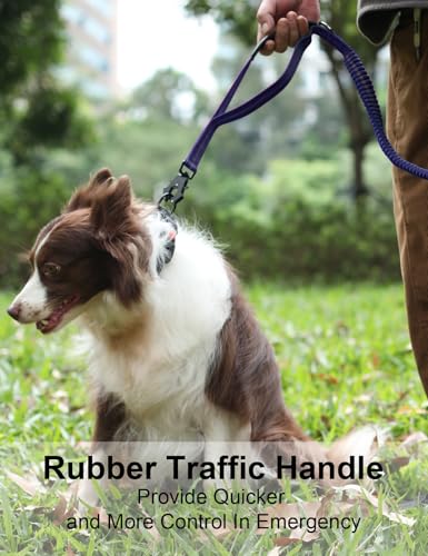 TINMARDA Heavy Duty Dog Leash - 6FT Shock Absorbing Bungee with Traffic Handle and Padded Handles, Reflective, for Large Dogs that Pull (Blue)
