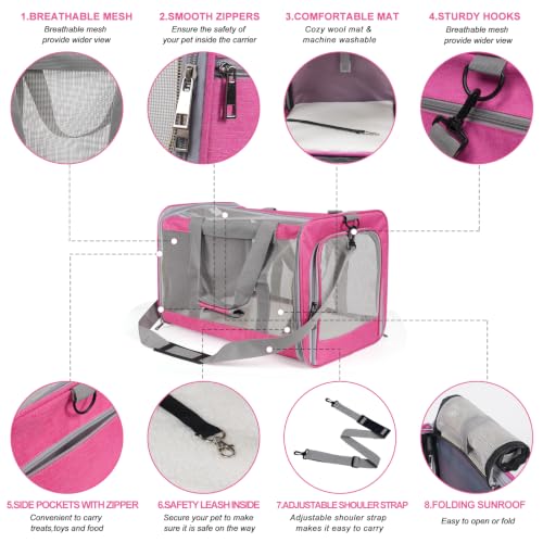 TIYOLAT Soft-Sided Pet Carrier for Large Cats Up to 16 lbs – Collapsible Travel Bag with Mesh Windows, Shoulder Strap, and Washable Mat (Pink)