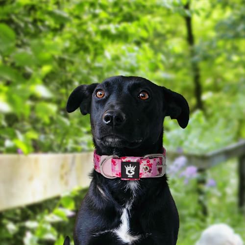 TSPRO Tactical Dog Collar 1.25 Inch Wide with Heavy-Duty Metal Buckle - Camo Pink Size S (12.6-15.8 Inches)