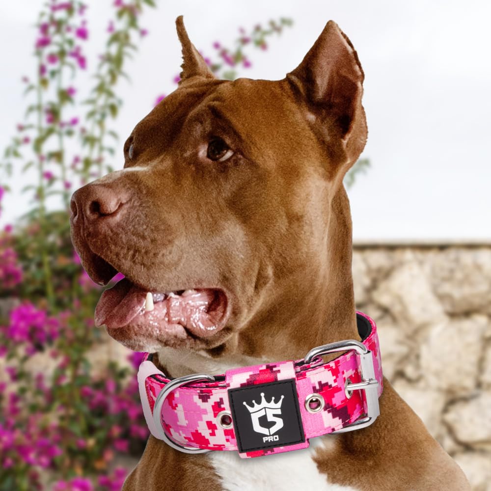TSPRO Tactical Dog Collar 1.5 Inch Padded Camo Pink for Medium Dogs