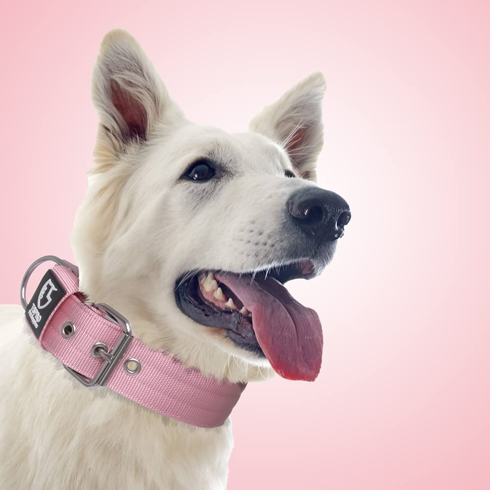 TSPRO Tactical Dog Collar 1.5" Wide Heavy Duty Nylon with Metal Buckle - Pink Size L for Medium to Large Dogs