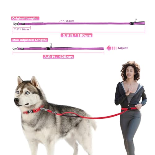 TSPRO Tactical Hands Free Dog Leash - 3-in-1 Adjustable Nylon Leash with Padded Handle & Metal Safety Clasp for Medium & Large Dogs (Khaki 25)