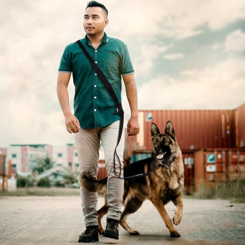 TSPRO Tactical Hands Free Dog Leash - 3-in-1 Adjustable Nylon Leash with Padded Handle & Metal Safety Clasp for Medium & Large Dogs (Khaki 25)