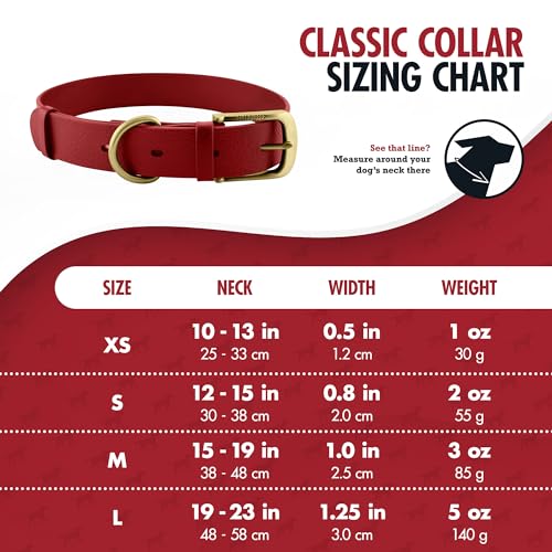 Tuff Pupper Classic Heavy Duty Dog Collar - Waterproof, Odor Proof & Rust-Proof Hardware - Crimson Red, Small
