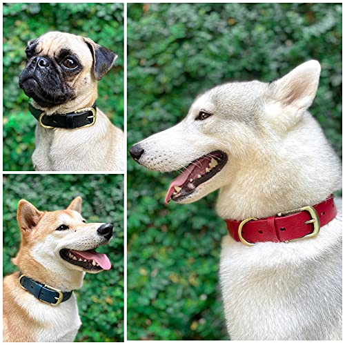 Tuff Pupper Classic Heavy Duty Dog Collar - Waterproof, Odor Proof & Rust-Proof Hardware - Crimson Red, Small
