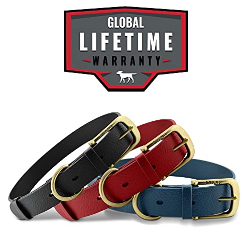 Tuff Pupper Classic Heavy Duty Dog Collar - Waterproof, Odor Proof & Rust-Proof Hardware - Crimson Red, Small