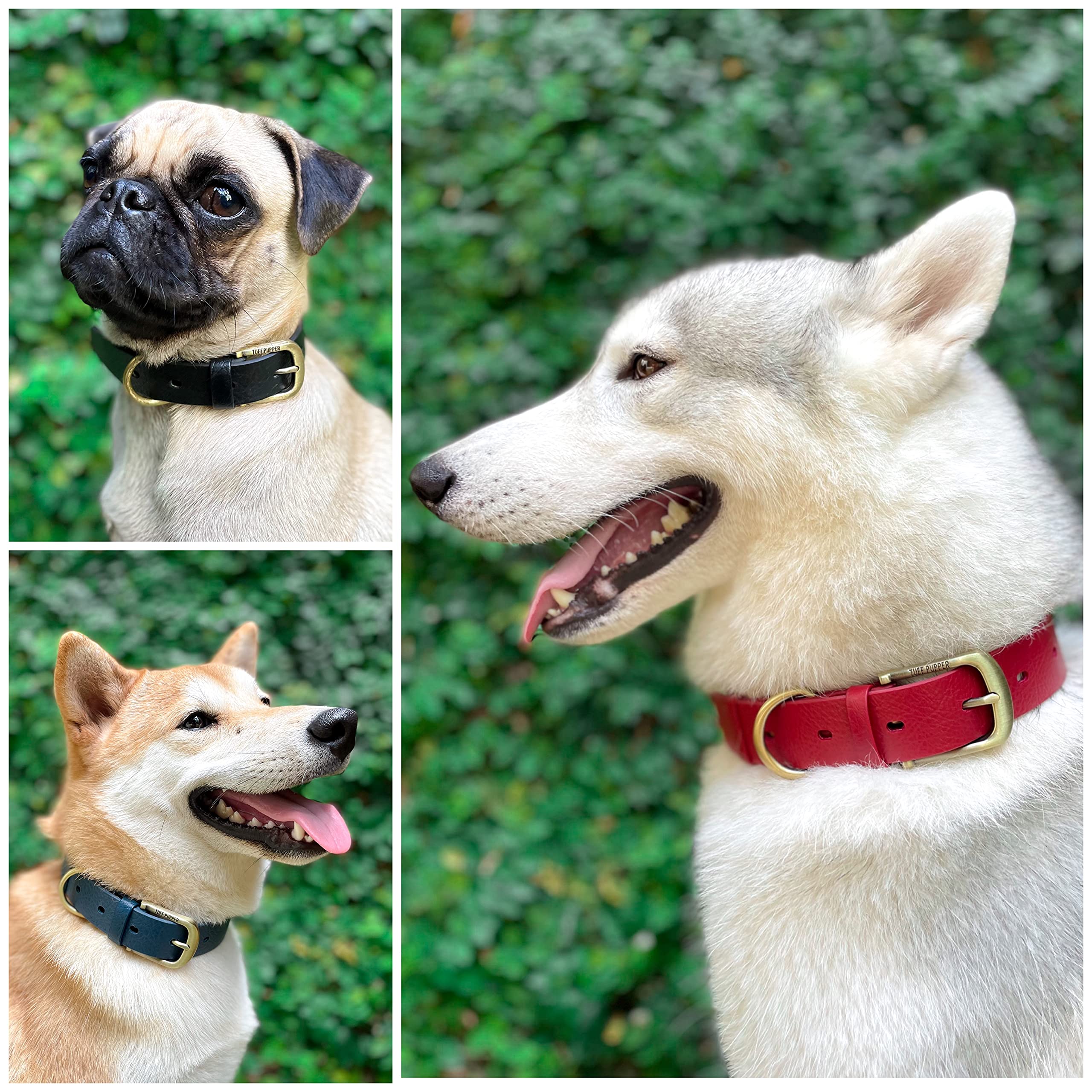 Tuff Pupper Classic Heavy Duty Dog Collar - Waterproof, Odor Proof & Rust-Proof Hardware - Crimson Red, Small