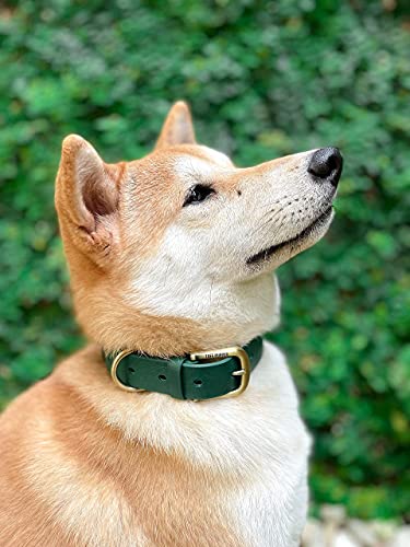 Tuff Pupper Classic Heavy Duty Dog Collar – Forest Green – Waterproof, Odor Proof, Rust-Proof Hardware, Sizes XS to Large