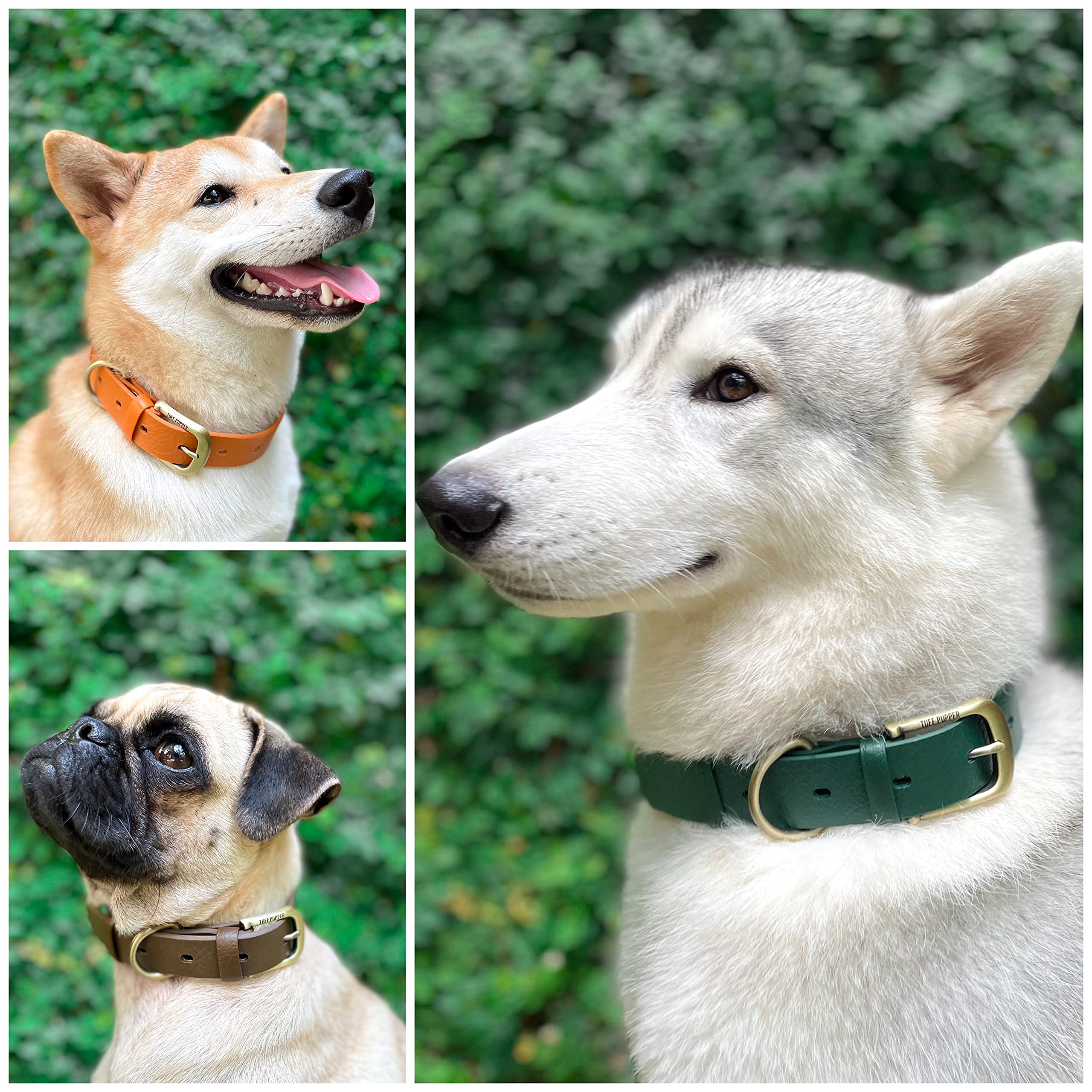 Tuff Pupper Classic Heavy Duty Dog Collar – Forest Green – Waterproof, Odor Proof, Rust-Proof Hardware, Sizes XS to Large