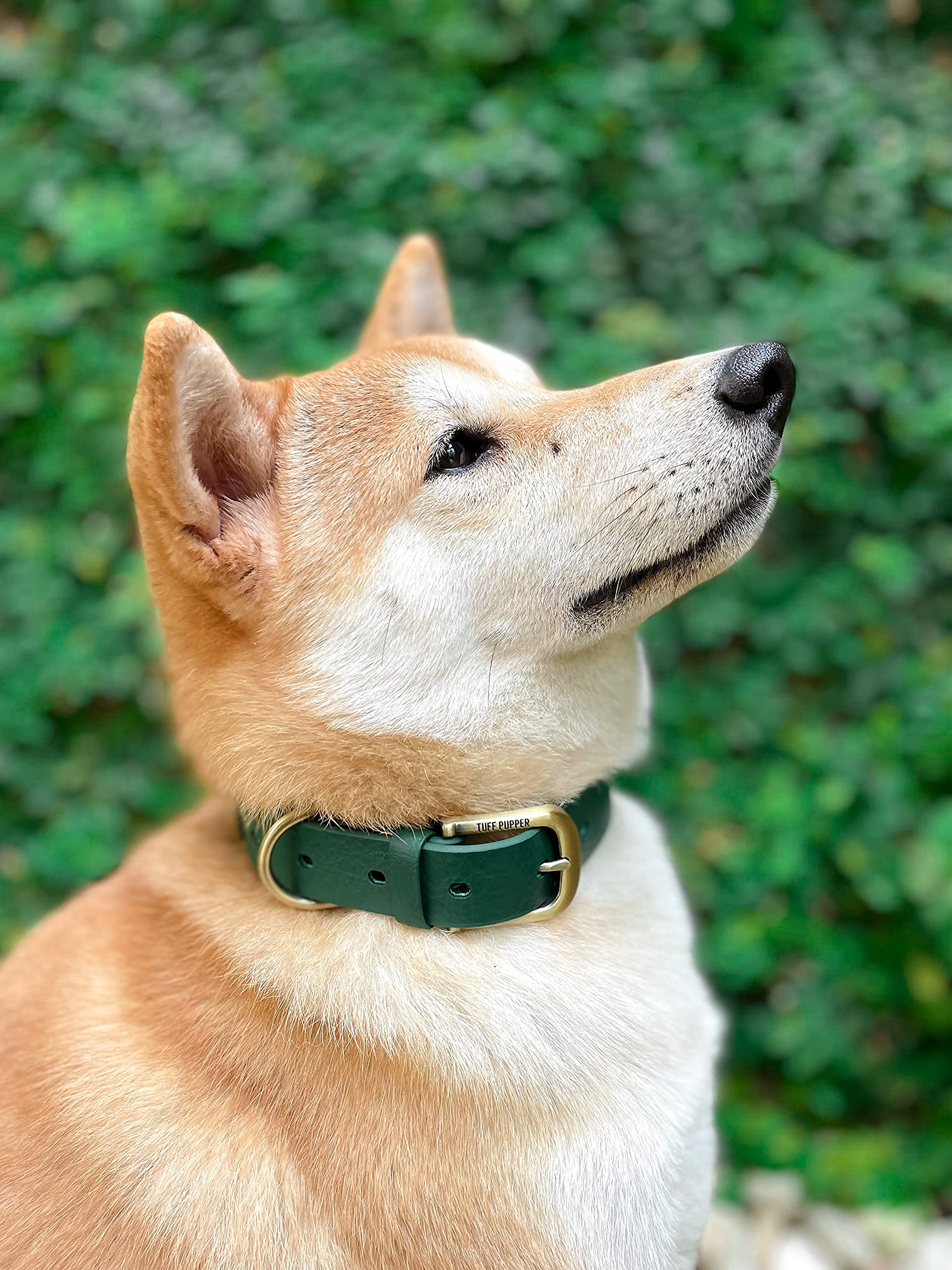 Tuff Pupper Classic Heavy Duty Dog Collar – Forest Green – Waterproof, Odor Proof, Rust-Proof Hardware, Sizes XS to Large