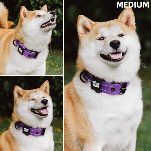 Tuff Pupper Heavy Duty Tactical Dog Collar - 1.5" Ballistic Nylon with Reflective Stitching, ID Tag Holder, Stainless Steel Buckle, Padded Lining, Royal Purple Medium