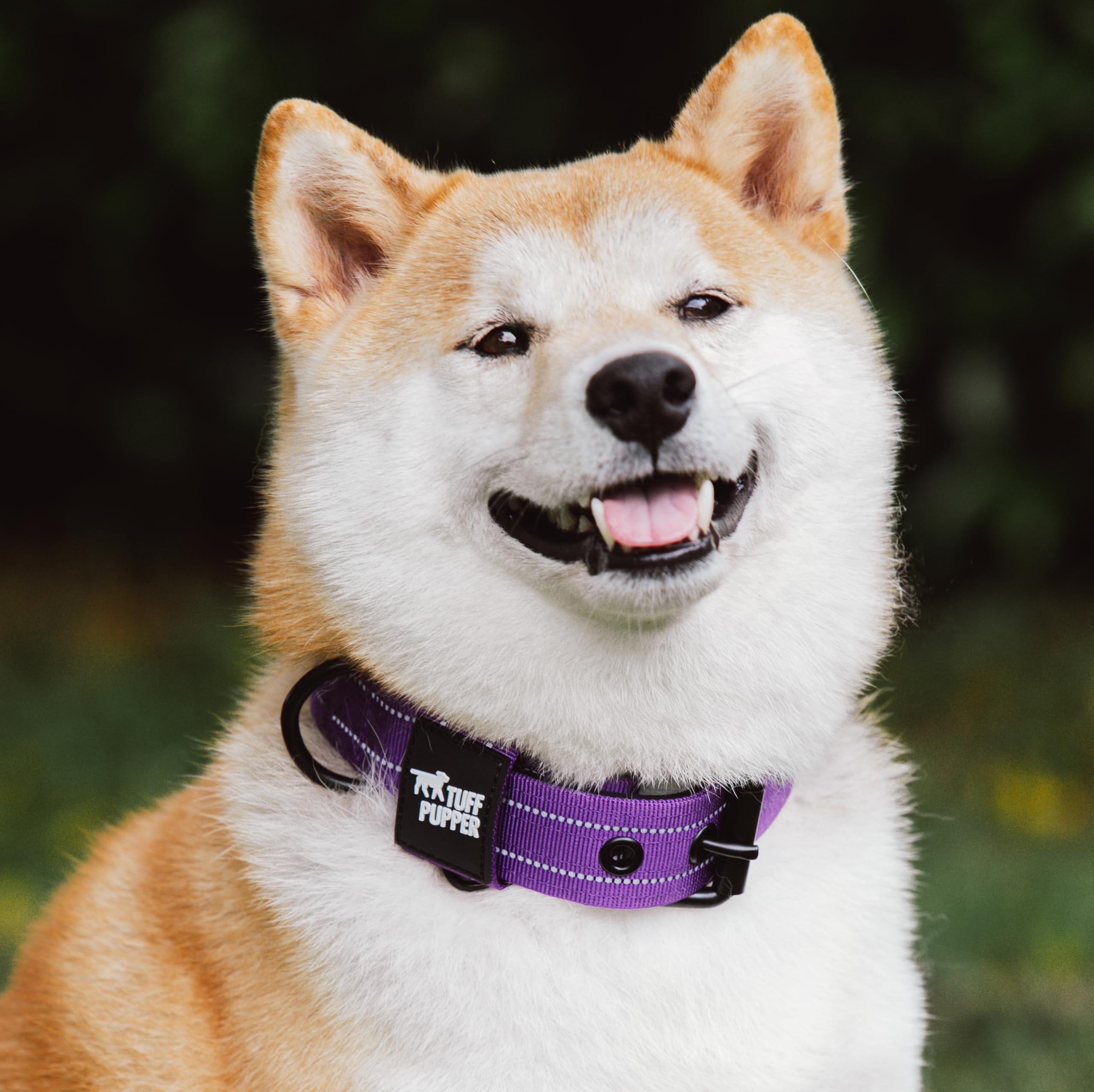 Tuff Pupper Heavy Duty Tactical Dog Collar - 1.5" Ballistic Nylon with Reflective Stitching, ID Tag Holder, Stainless Steel Buckle, Padded Lining, Royal Purple Medium