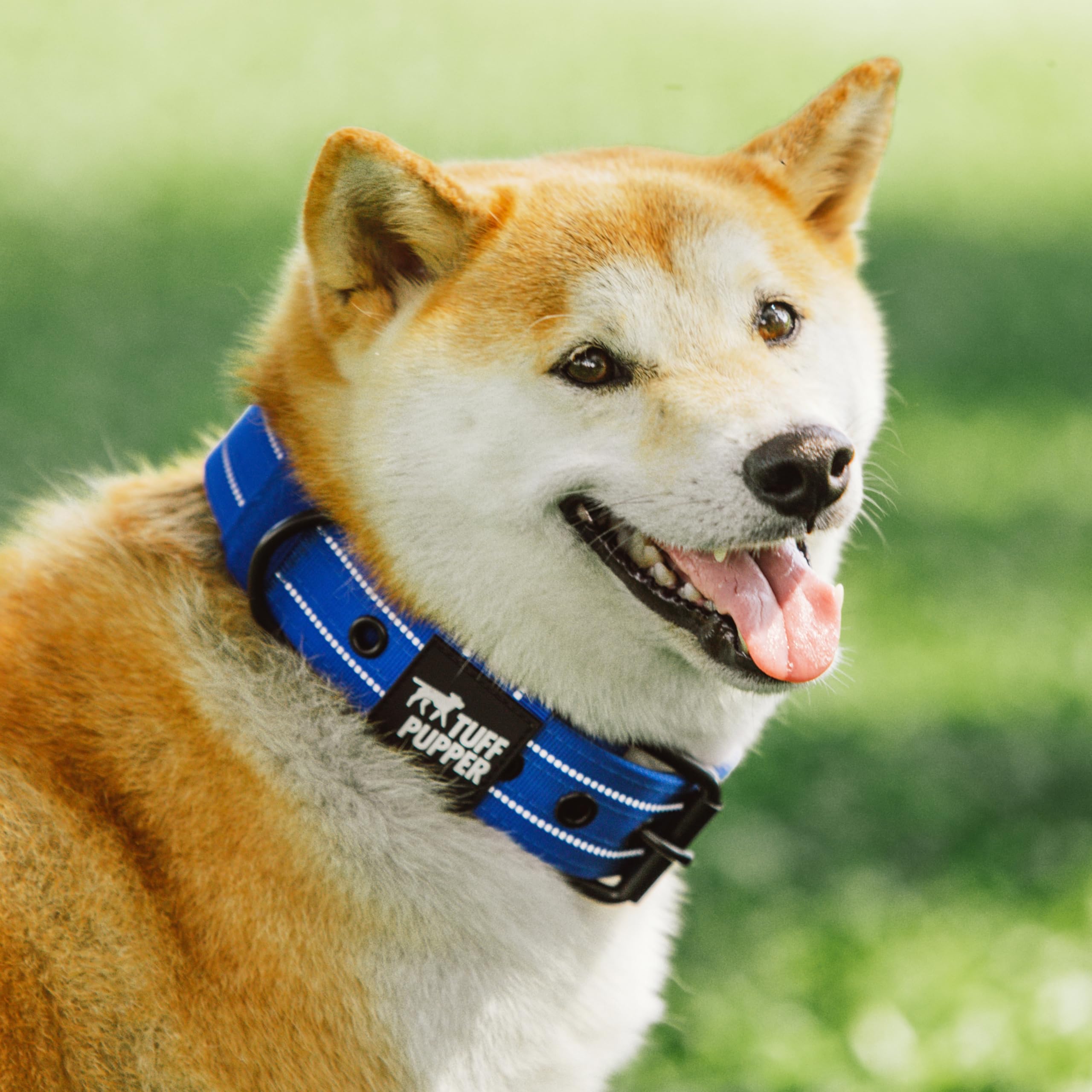 Tuff Pupper Heavy Duty Tactical Dog Collar - 1.5" Wide Ballistic Nylon, Reflective Stitching, Padded Lining, Medium Blue for Medium & Large Dogs