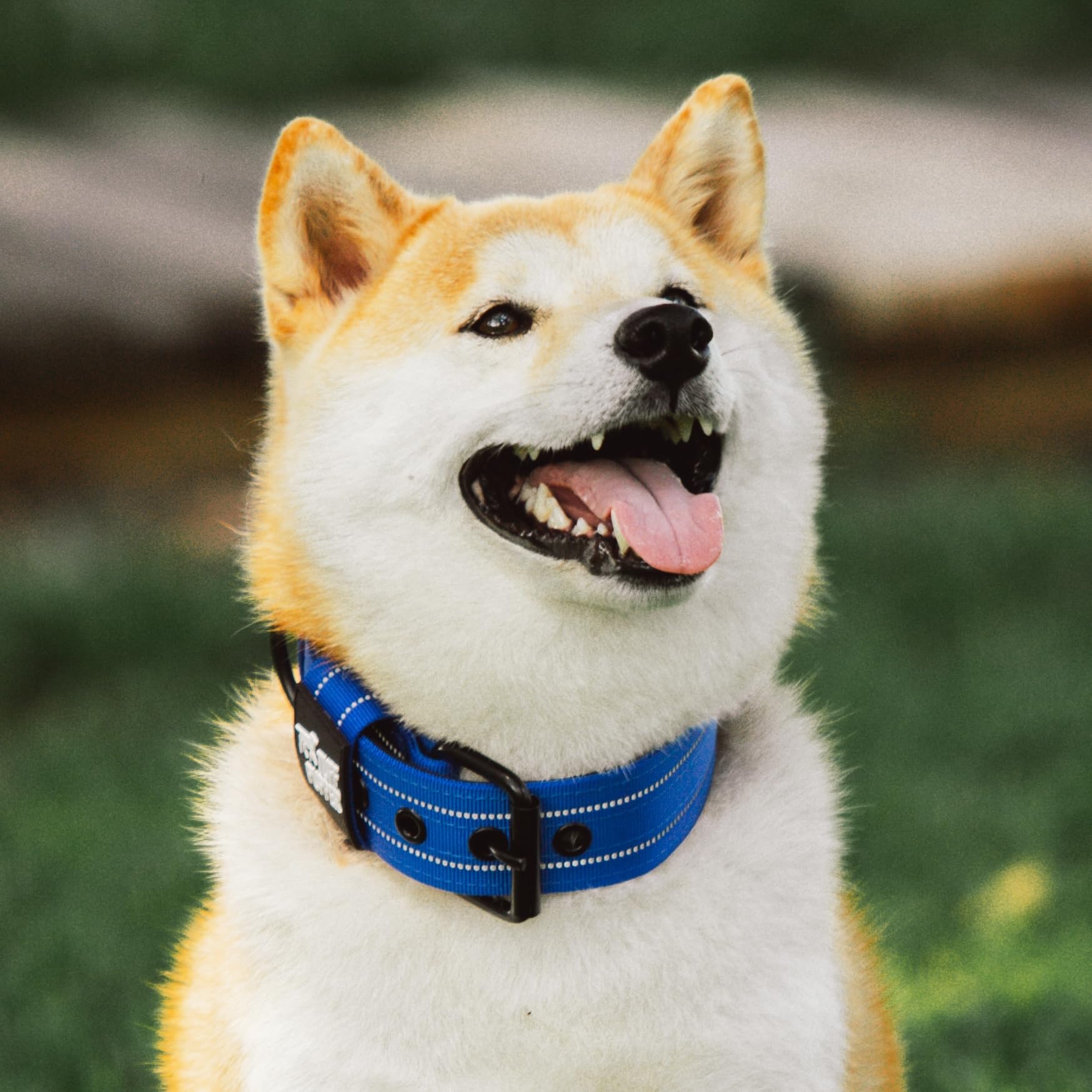 Tuff Pupper Heavy Duty Tactical Dog Collar - 1.5" Wide Ballistic Nylon, Reflective Stitching, Padded Lining, Medium Blue for Medium & Large Dogs