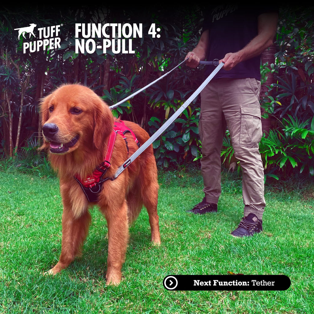 Tuff Pupper Multi Function Crossbody Leash: 8-Foot Hands-Free Dog Leash with 6 Uses, Neoprene Padding, Reflective Stitching
