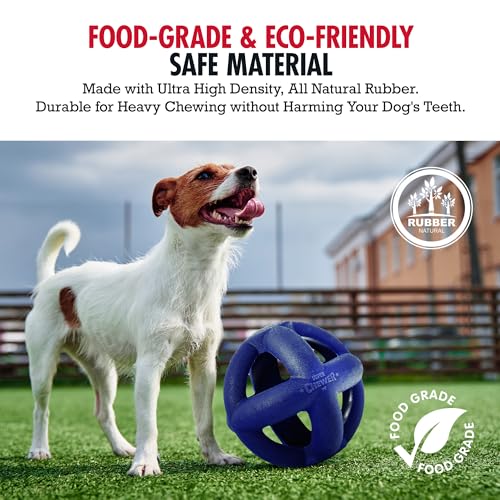 Tuff Pupper SuperChewer Tough Dog Cage Ball Toy – Natural Rubber Fetch Ball for Large Breeds, Lifetime Replacement