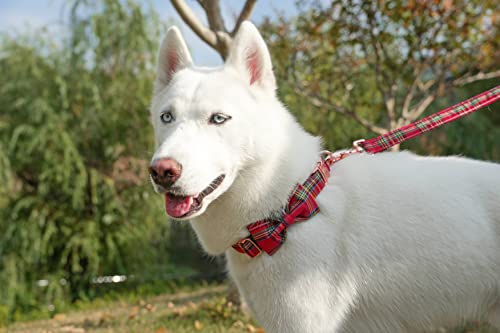 Tunkoo Dog Collar – Christmas Plaid with Detachable Bow Tie, Soft Cotton, Adjustable, Premium Metal Buckle (Red Plaid, Small)