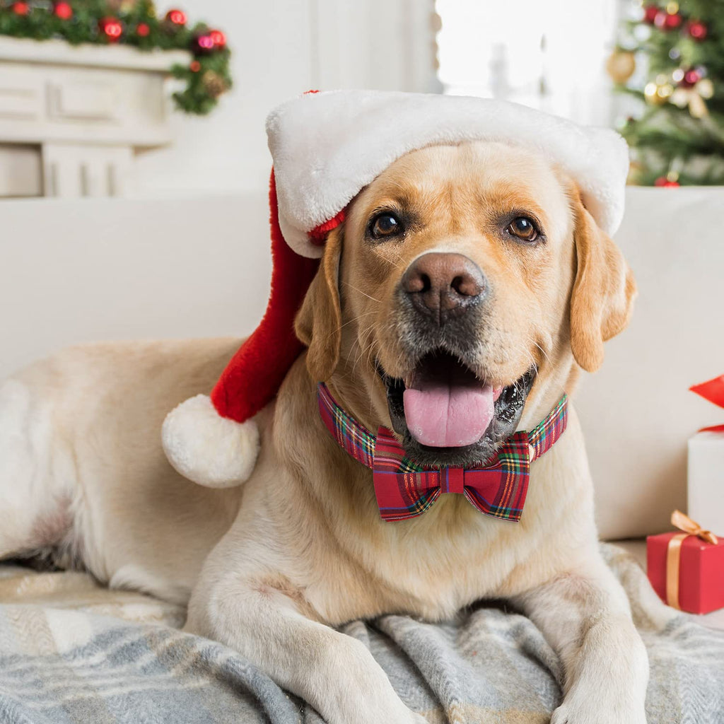 Tunkoo Dog Collar – Christmas Plaid with Detachable Bow Tie, Soft Cotton, Adjustable, Premium Metal Buckle (Red Plaid, Small)