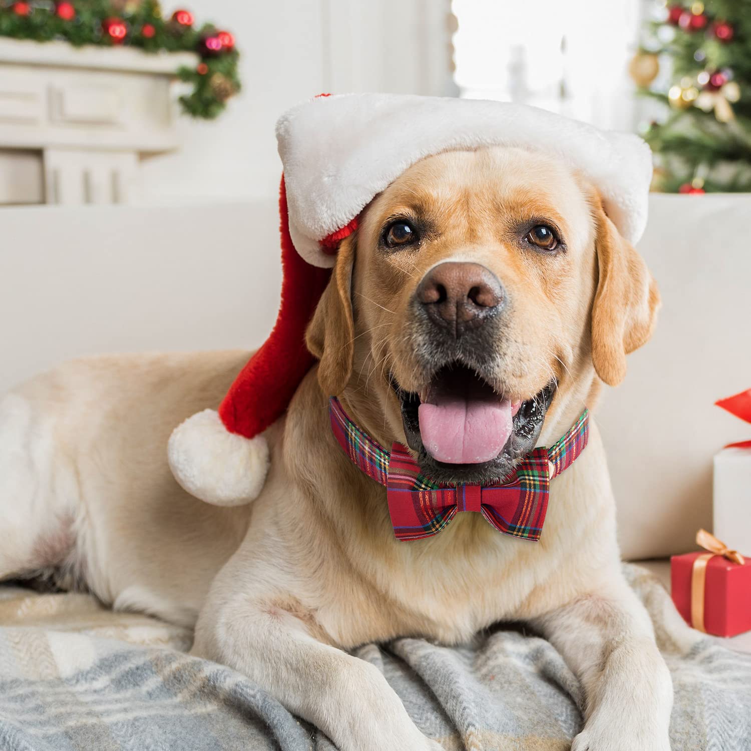 Tunkoo Dog Collar – Christmas Plaid with Detachable Bow Tie, Soft Cotton, Adjustable, Premium Metal Buckle (Red Plaid, Small)
