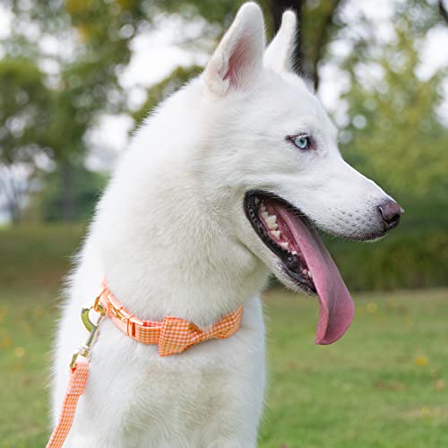 Tunkoo Plaid Dog Collar with Removable Bow Tie - Adjustable Cotton Collar for Small to Large Dogs - Orange Grid, Medium