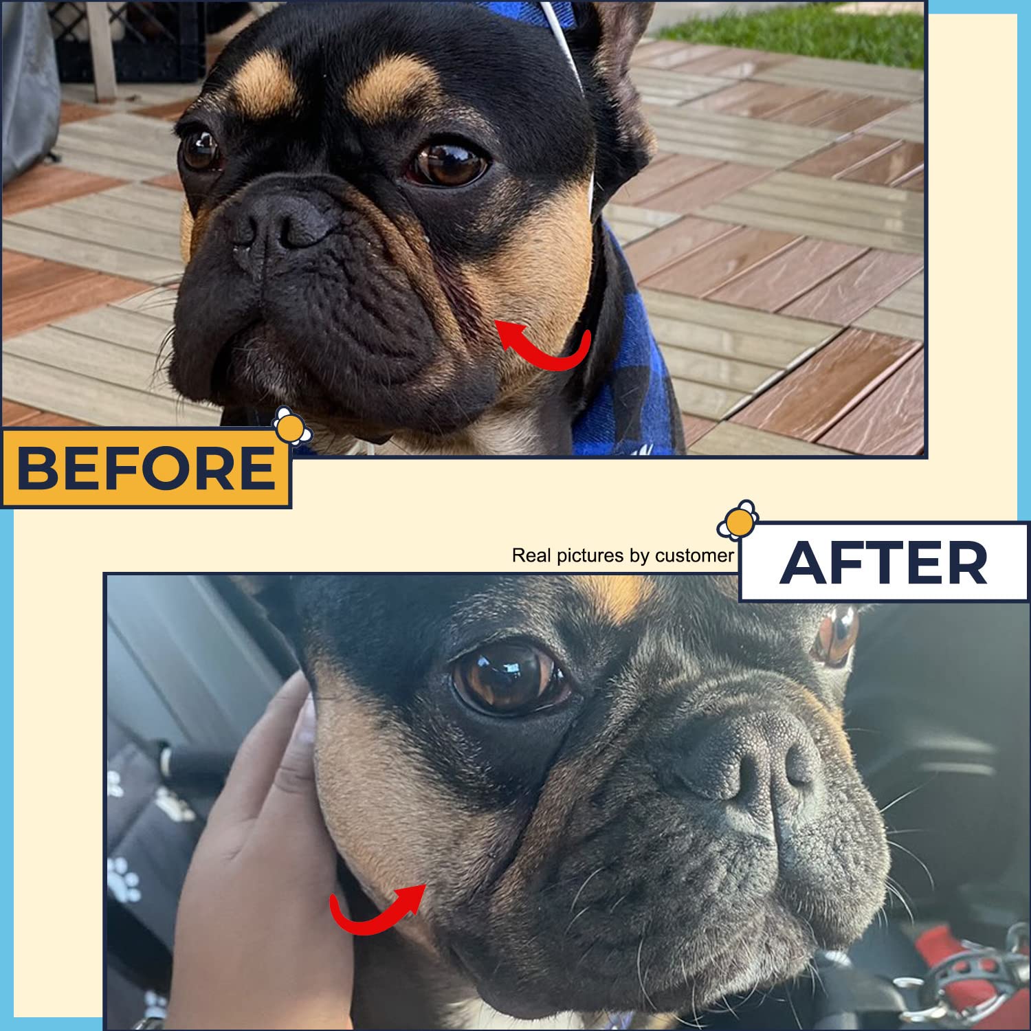Two Pets and a Half Wrinkle Wipes for Bulldogs - 50 Organic Dog Face Wipes with Manuka Honey