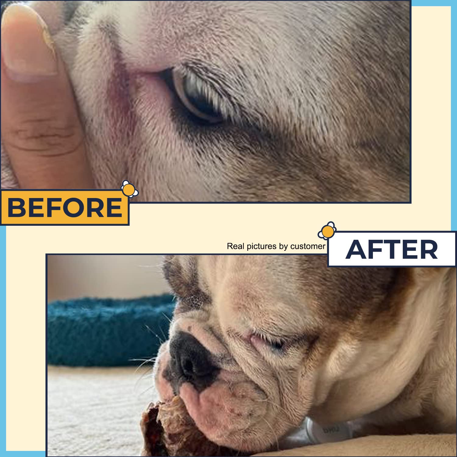 Two Pets and a Half Wrinkle Wipes for Bulldogs - 50 Organic Dog Face Wipes with Manuka Honey