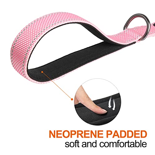 TwoEar 4ft Pink Dog Leash with Dual Padded Handles and Reflective Threads - Auto Lock Hook, Durable Nylon for Small to Large Dogs