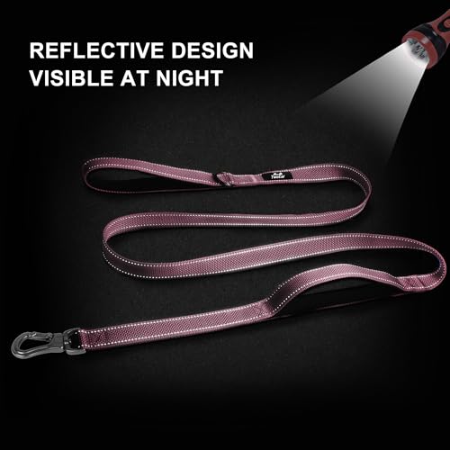 TwoEar 4ft Pink Dog Leash with Dual Padded Handles and Reflective Threads - Auto Lock Hook, Durable Nylon for Small to Large Dogs