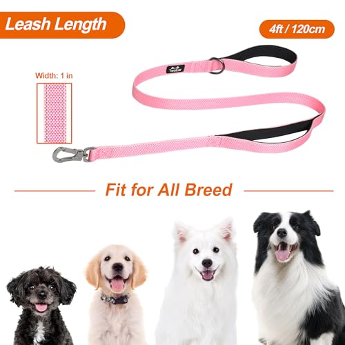 TwoEar 4ft Pink Dog Leash with Dual Padded Handles and Reflective Threads - Auto Lock Hook, Durable Nylon for Small to Large Dogs