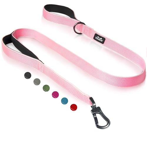 TwoEar 4ft Pink Dog Leash with Dual Padded Handles and Reflective Threads - Auto Lock Hook, Durable Nylon for Small to Large Dogs