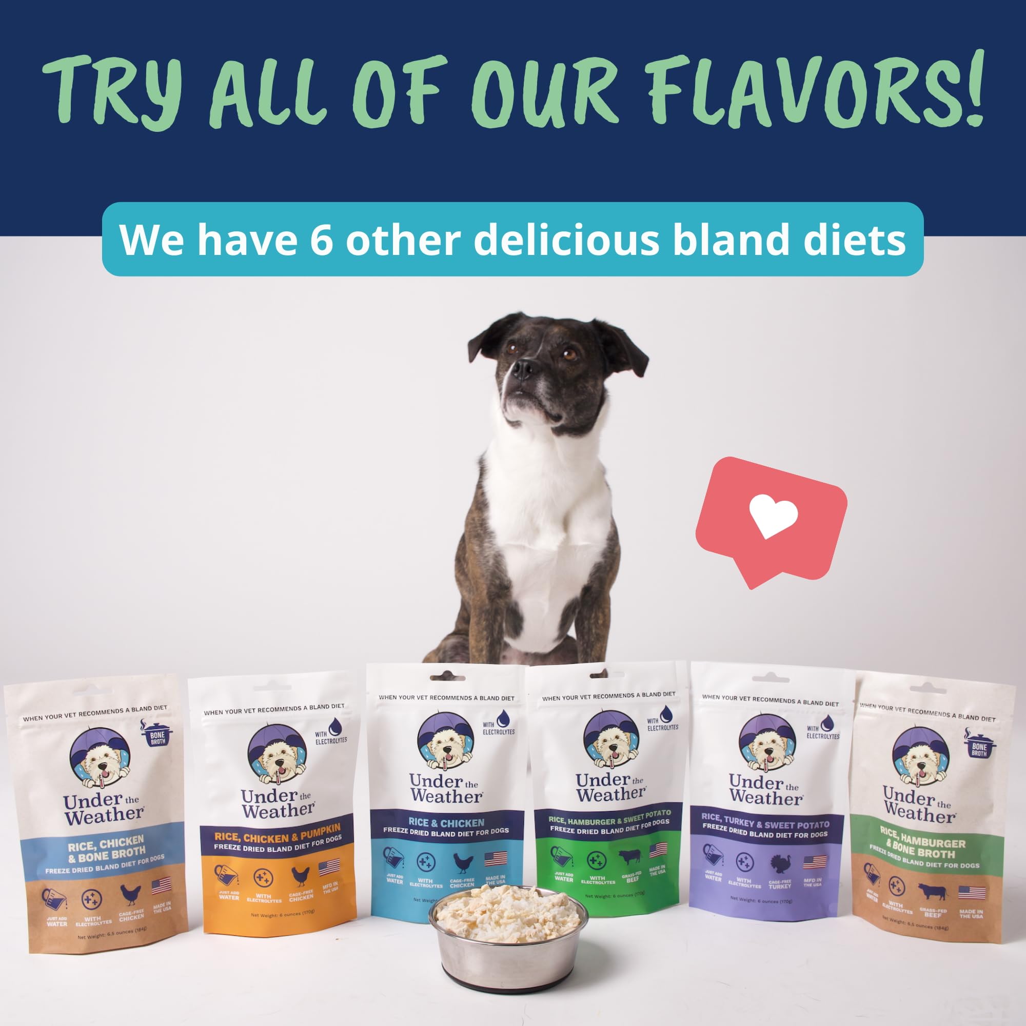 Under the Weather Freeze-Dried Bland Diet for Dogs – Rice, Hamburger & Bone Broth, 6 oz