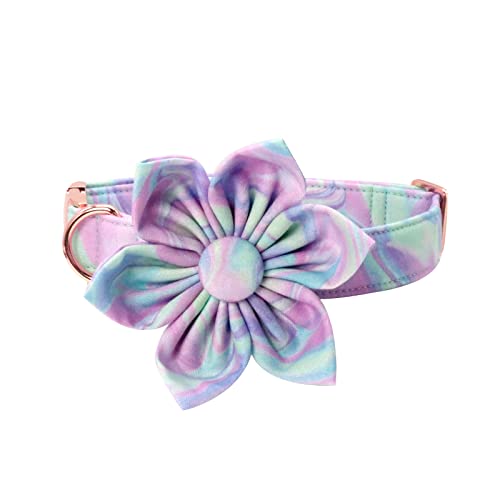 Unique Style Paws Adjustable Dog Collar with Detachable Flower – Durable Cotton & Metal for Small, Medium, Large Dogs
