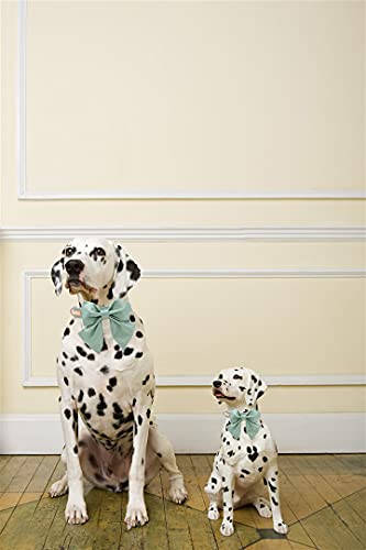 Unique style paws Bean Green Silk Dog Collar with Removable Bow for X-Small Dogs and Cats