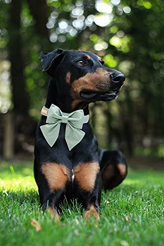 Unique style paws Bean Green Silk Dog Collar with Removable Bow for X-Small Dogs and Cats