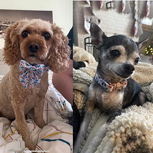 Unique Style Paws Dog Collar with Removable Blue Bowtie – Adjustable Cotton Puppy Collar for Small to Medium Dogs and Cats (M)