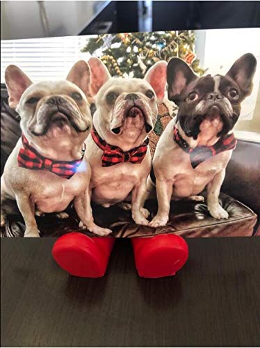 Unique style paws XXS Cotton Dog Collar with Removable Bow – Black Red Plaid for Small Dogs