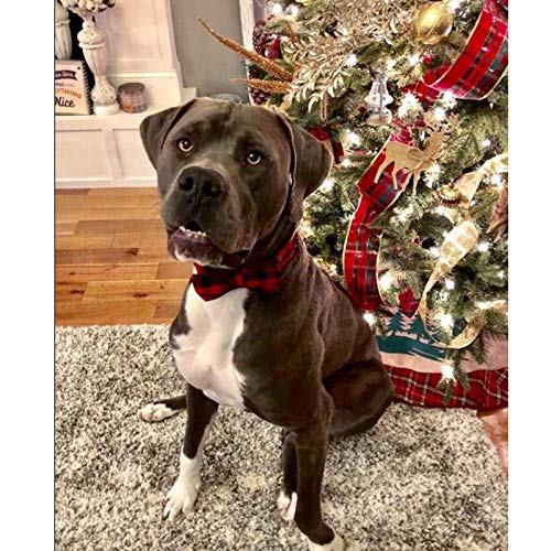 Unique style paws XXS Cotton Dog Collar with Removable Bow – Black Red Plaid for Small Dogs