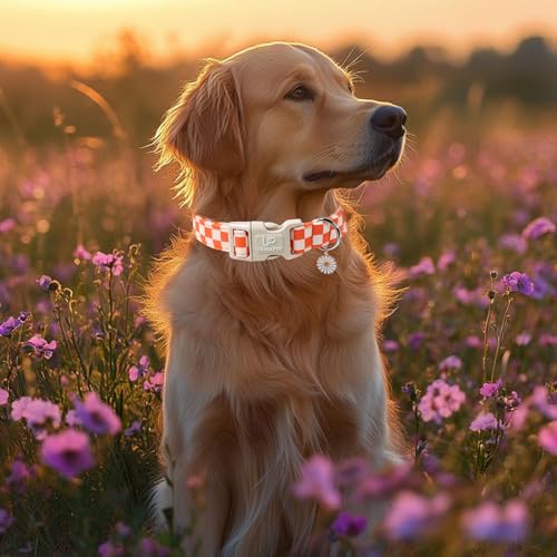 UP URARA PUP Gingham Dog Collar - Adjustable Orange Checkered Cotton Collar with Daisy Charm